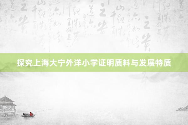 探究上海大宁外洋小学证明质料与发展特质